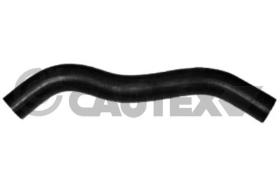 CAUTEX 016230 - MANGUITO INFERIOR RADIADOR
