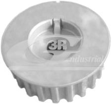 3RG 13627 - PINON CIGUENAL