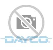 DAYCO KPV019HD - KIT PV-K VEHICULO INDUSTRIAL