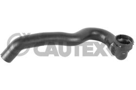 CAUTEX 011330 - MANGUITO INFERIOR RADIADOR