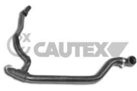 CAUTEX 011336 - MANGUITO INFERIOR RADIADOR