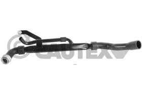 CAUTEX 031253 - MANGUITO INFERIOR RADIADOR
