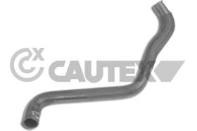 CAUTEX 031350 - MANGUITO INFERIOR RADIADOR