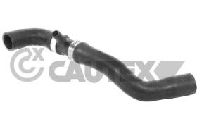 CAUTEX 035074 - MANGUITO INFERIOR RADIADOR CAMBIO AUTO.