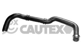 CAUTEX 036351 - MANGUITO INFERIOR RADIADOR