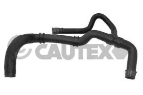 CAUTEX 036411 - MANGUITO INFERIOR RADIADOR