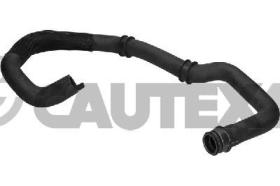 CAUTEX 036443 - MANGUITO INFERIOR RADIADOR