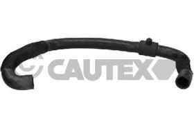 CAUTEX 036448 - MANGUITO INFERIOR RADIADOR,CON A/A