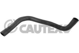 CAUTEX 036752 - MANGUITO INFERIOR RADIADOR