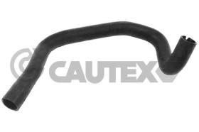 CAUTEX 036764 - MANGUITO INFERIOR RADIADOR