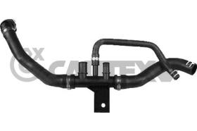 CAUTEX 036766 - MANGUITO INFERIOR RADIADOR