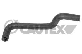 CAUTEX 036772 - MANGUITO SUPERIOR RADIADOR