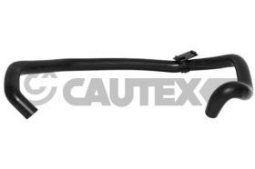 CAUTEX 086772 - MANGUITO INFERIOR RADIADOR
