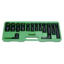 JBM 51491 - SET 14 PIEZAS PARA EXTRACCIÃN SONDA LAMBDA