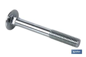 COFAN 00870625 - DIN 603  M-6 X 25 Z