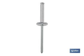 COFAN 07234830 - REMACHE FLOR CABEZA ANCHA 4,8 X 30 MM