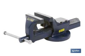 COFAN 09518002 - TORNILLO BANCO PARALELO FIJO 6'