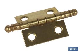 COFAN 61001194A - 2 UDS BISAGRA HIERRO LATON FIN ALTO 50 X 40