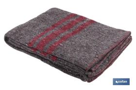 COFAN 10392123 - MANTA PROTECTORA ECO 410GR 2X1,4M BEIGE