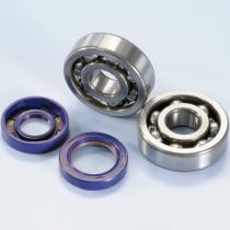 VICMA 2820003 - KIT RODAMIENTO AM6 POLINI