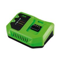 JBM 60017 - CARGADOR RÃPIDO 20V - 6A