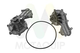  LVWP1098 - *** Sin denominación ***