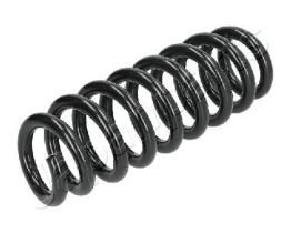 JAPANPARTS ZC7062A - JAPAN MUELLE HELICOIDAL