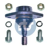RTS 9300248056 - ROTULA SUSPENSION