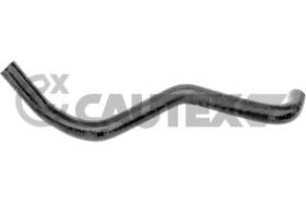 CAUTEX 767004 - MGTO RADIADOR
