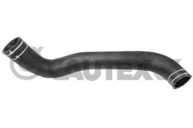 CAUTEX 767035 - MGTO RADIADOR