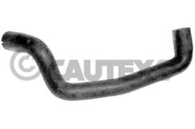 CAUTEX 767036 - MGTO RADIADOR