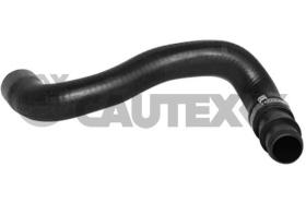 CAUTEX 753298 - MGTO RADIADOR