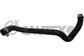 CAUTEX 753812 - MGTO RADIADOR