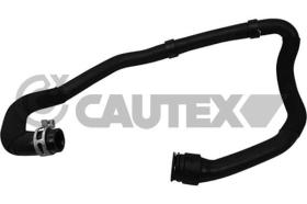CAUTEX 753813 - MGTO RADIADOR