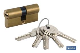 COFAN 31113030N - CILINDRO DE SEGURIDAD DE NÍQUEL PARA LLAVE NORMAL 30/30 - LE