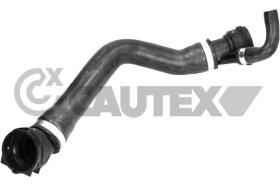 CAUTEX 771625 - MGTO RADIADOR