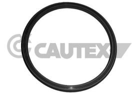 CAUTEX 751979 - JUNTA MGTO TURBO