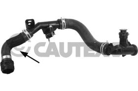 CAUTEX 753894 - MGTO RADIADOR