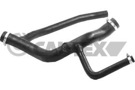 CAUTEX 765652 - MGTO RADIADOR