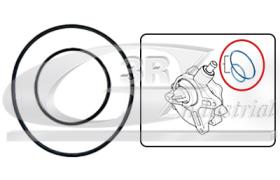 3RG 74100 - JUNTA BOMBA VACIO