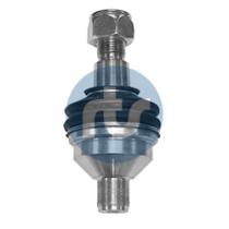 RTS 9390199 - RTS ROTULA SUSPENSION