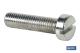 COFAN 00602512 - DIN-84  C-6  M-2,5 X 12  Z