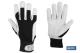 COFAN 110000758 - GUANTE VACUNO DORSO TELA + VELCRO T-8
