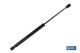 COFAN 03402023 - MUELLE NEUMATICO 250MM 350N R.80MM UNIVERSAL